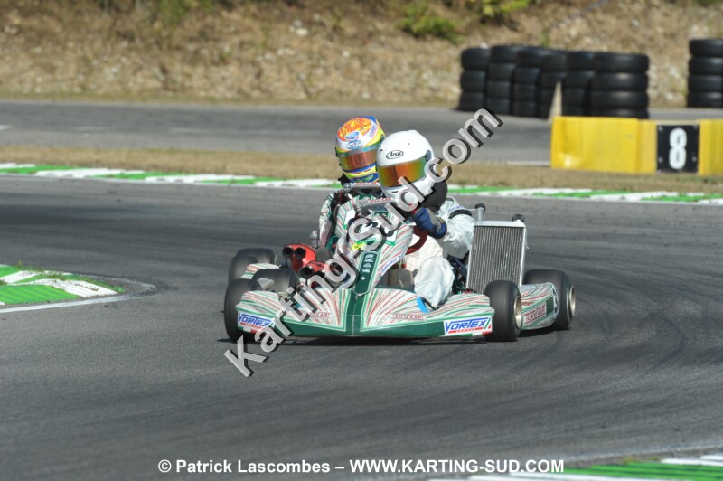 DSC_ (1123).JPG
